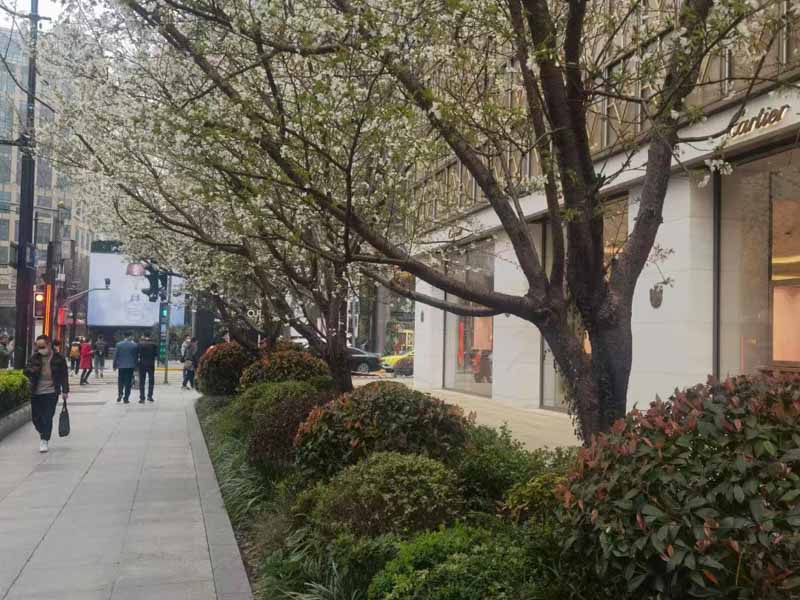 還在為房產證名字頭疼？深圳專業婚姻律師為您解答
