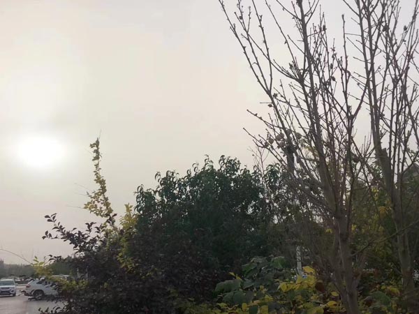 如何向外國配偶索要撫養(yǎng)費(fèi)？深圳涉外婚姻律師為您講解