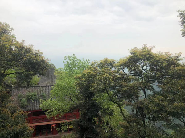 深圳離婚知名律師來講講國外對于離婚撫養費問題的規定