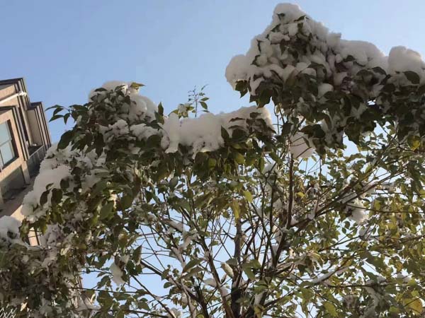 離婚財產分割爭議不斷怎么辦？寶安婚姻律師帶您了解